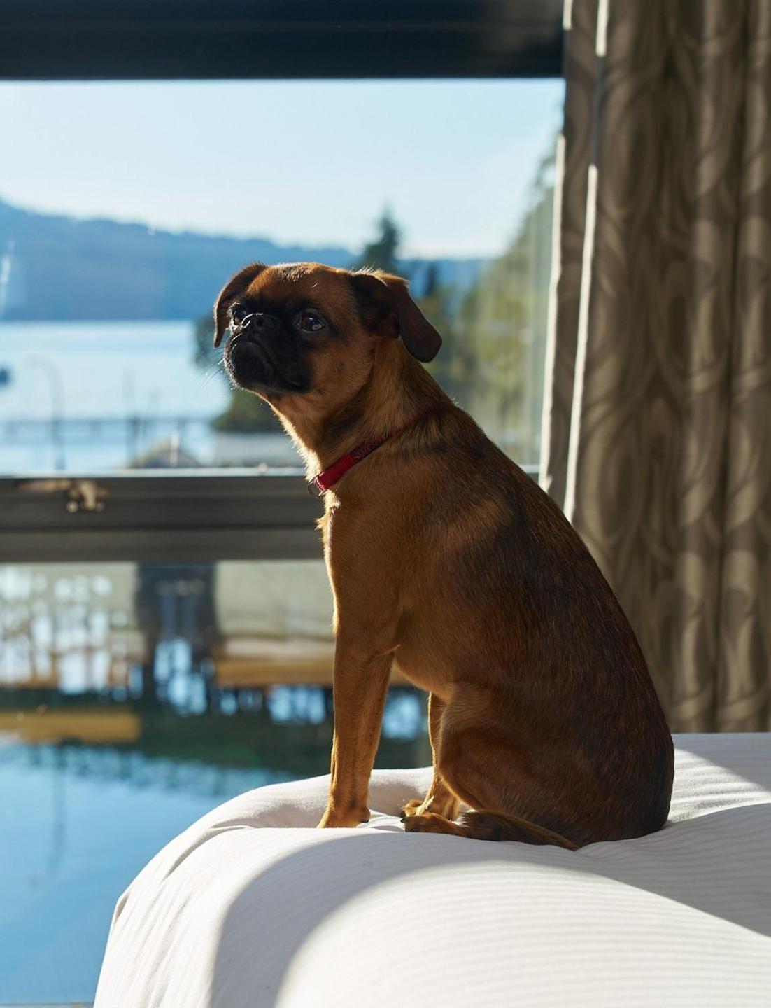 Brentwood Bay Resort & Spa Dış mekan fotoğraf